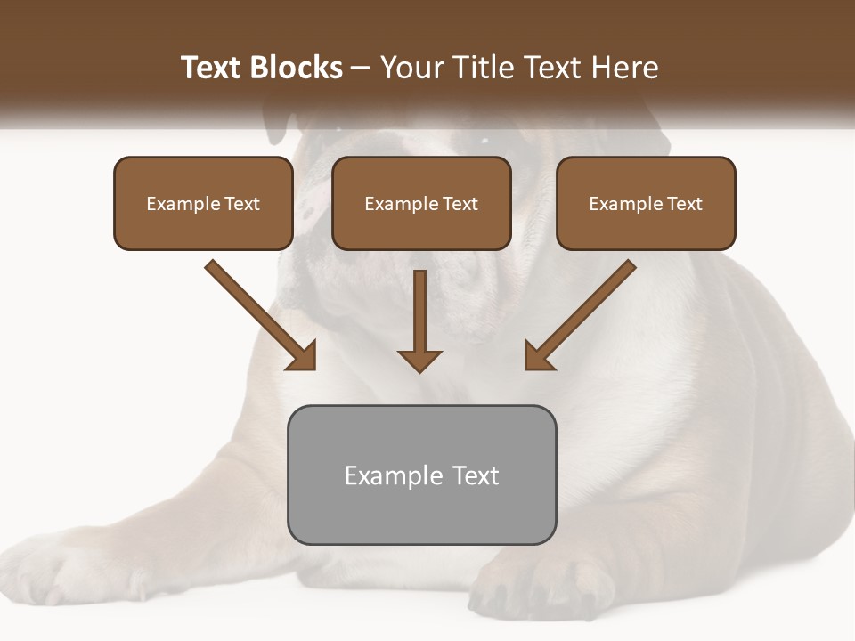 Electric Energy Home PowerPoint Template