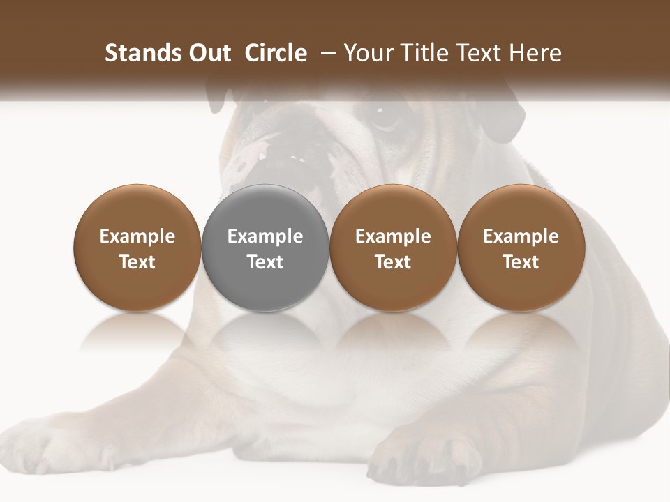 Electric Energy Home PowerPoint Template