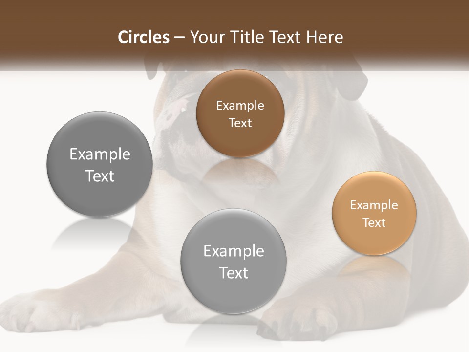 Electric Energy Home PowerPoint Template