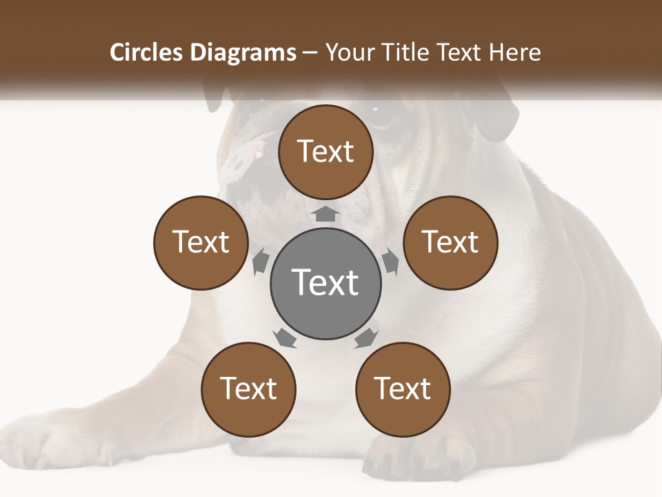 Electric Energy Home PowerPoint Template