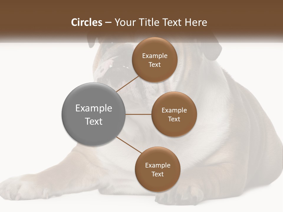 Electric Energy Home PowerPoint Template