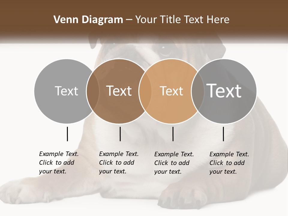Electric Energy Home PowerPoint Template
