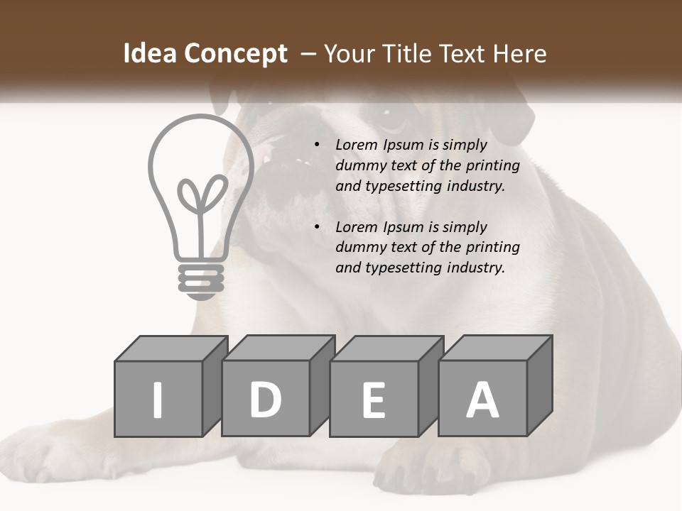 Electric Energy Home PowerPoint Template