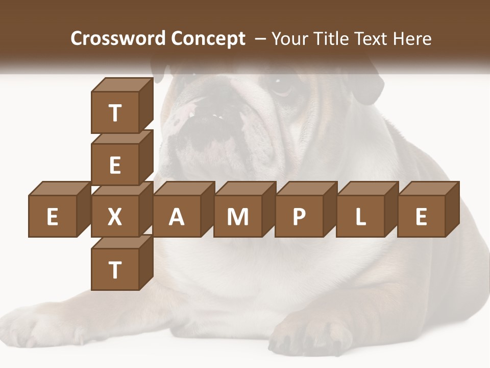 Electric Energy Home PowerPoint Template