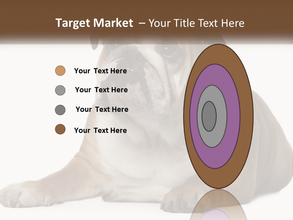 Electric Energy Home PowerPoint Template