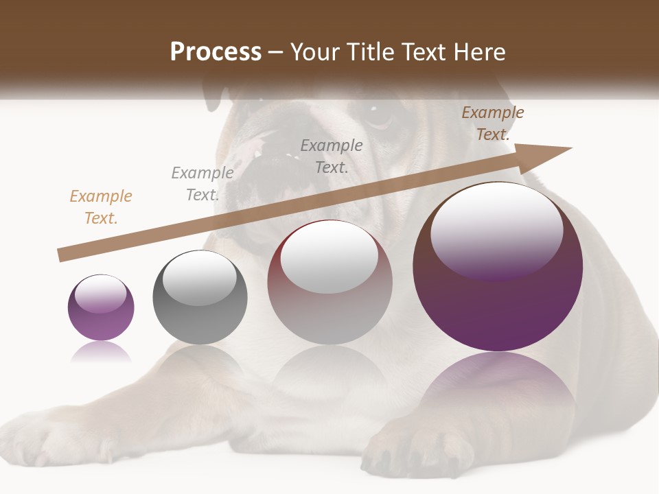 Electric Energy Home PowerPoint Template