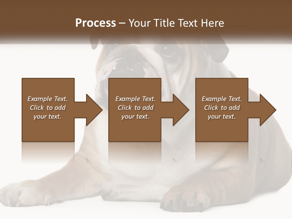 Electric Energy Home PowerPoint Template