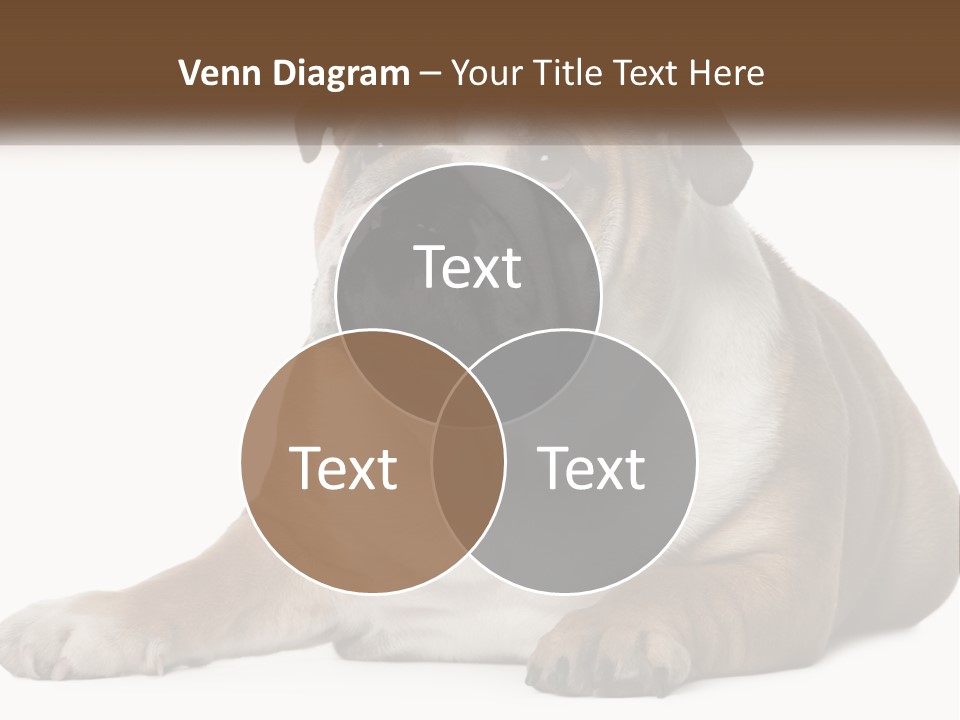 Electric Energy Home PowerPoint Template