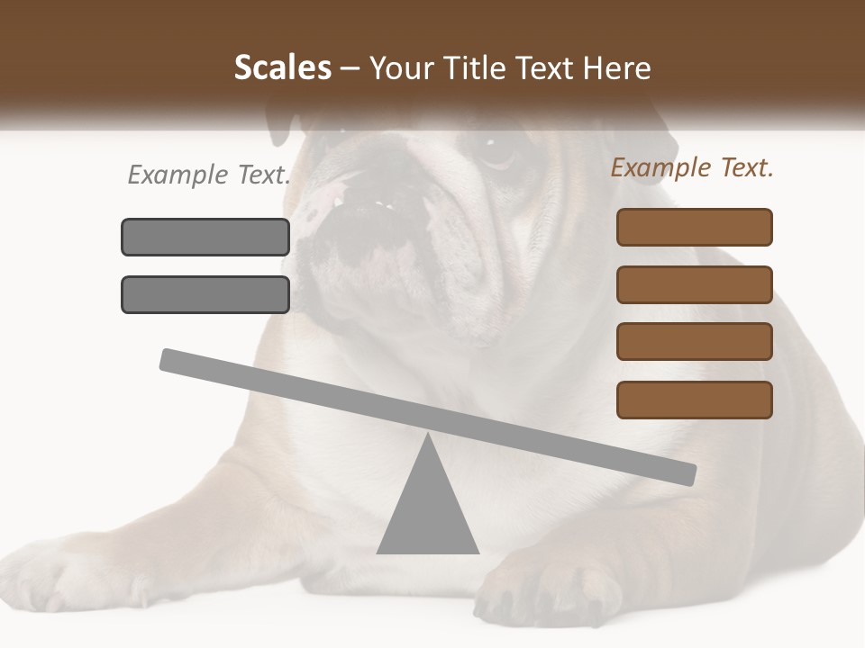 Electric Energy Home PowerPoint Template