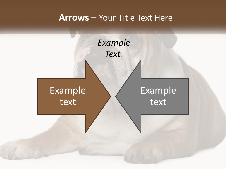 Electric Energy Home PowerPoint Template