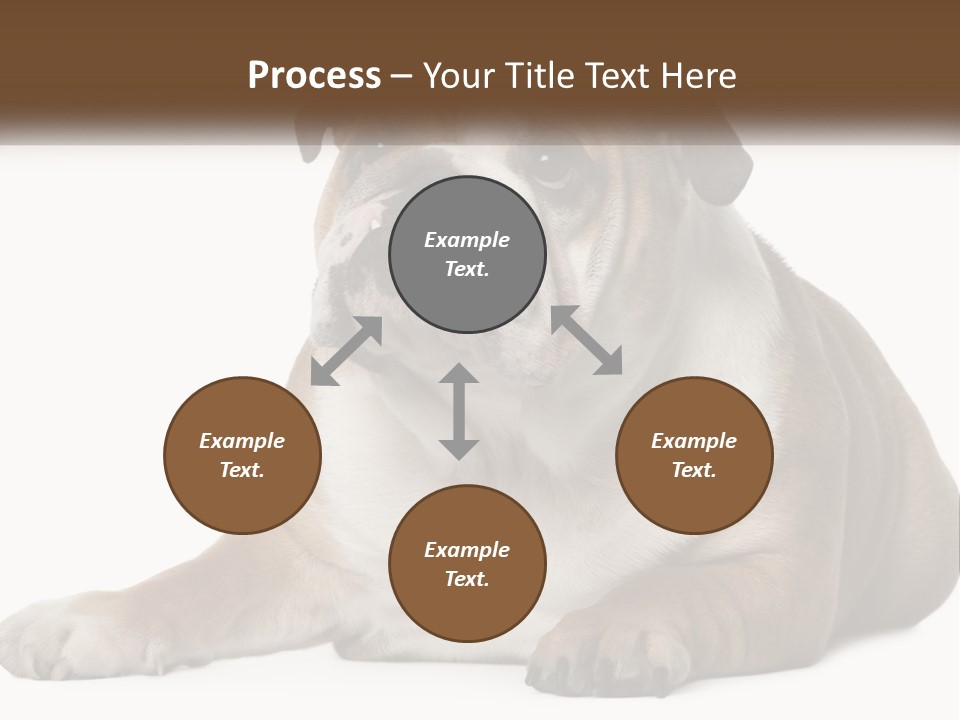Electric Energy Home PowerPoint Template