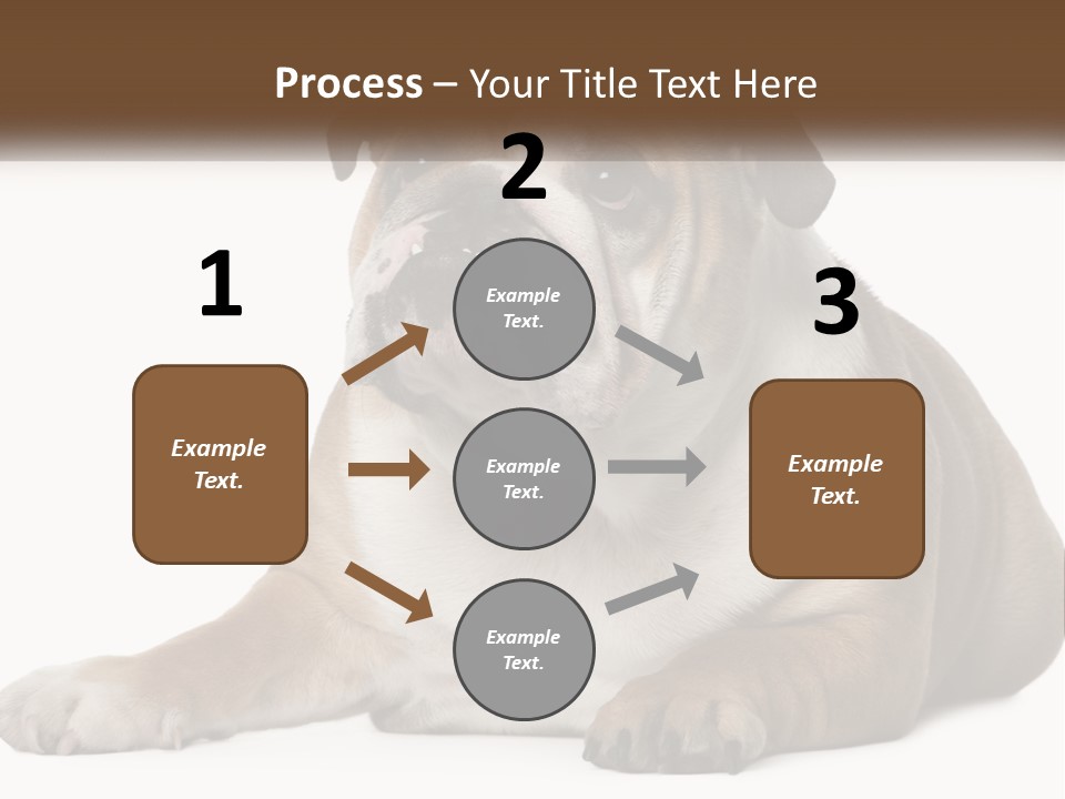 Electric Energy Home PowerPoint Template