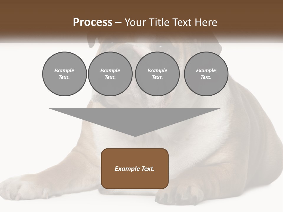 Electric Energy Home PowerPoint Template