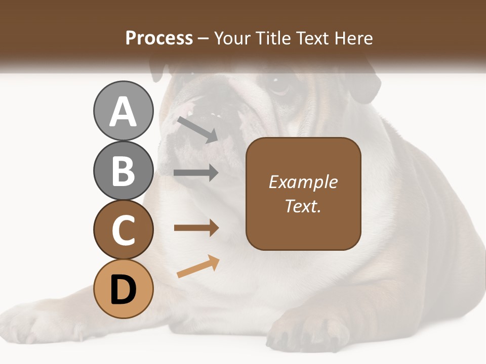 Electric Energy Home PowerPoint Template