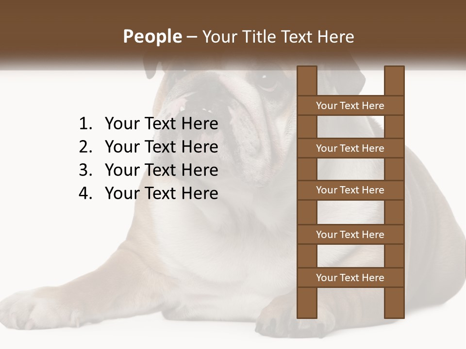 Electric Energy Home PowerPoint Template