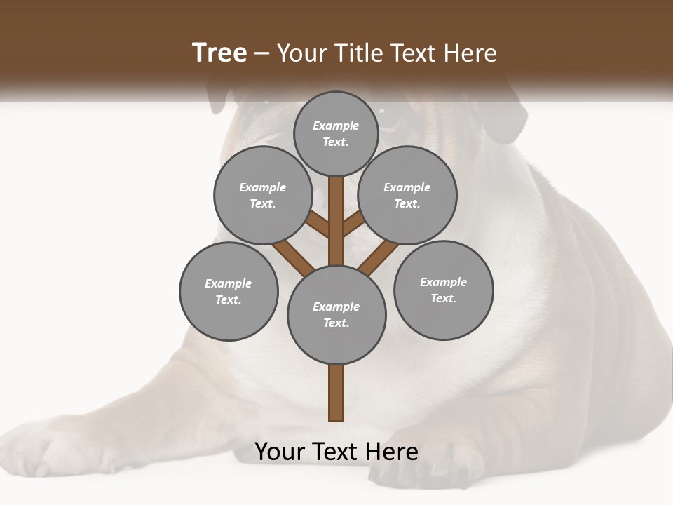 Electric Energy Home PowerPoint Template