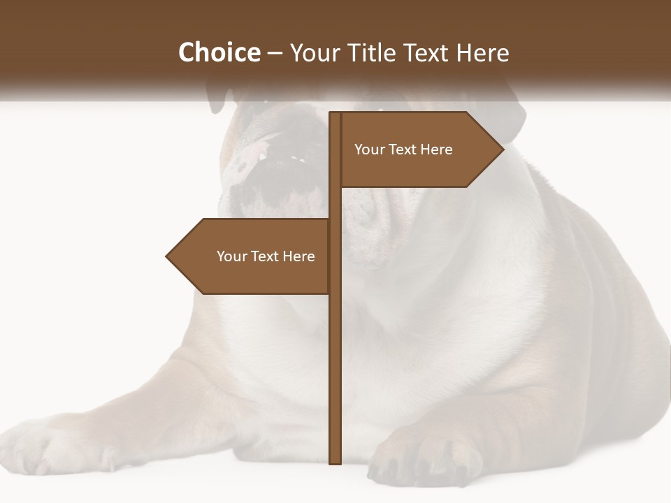 Electric Energy Home PowerPoint Template