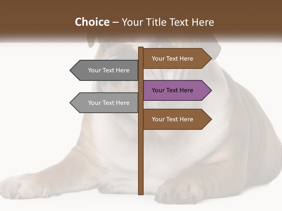 Electric Energy Home PowerPoint Template