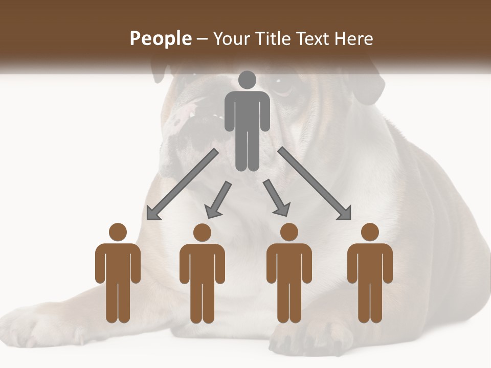 Electric Energy Home PowerPoint Template