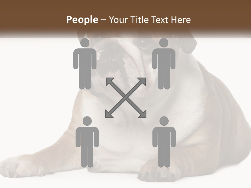 Electric Energy Home PowerPoint Template