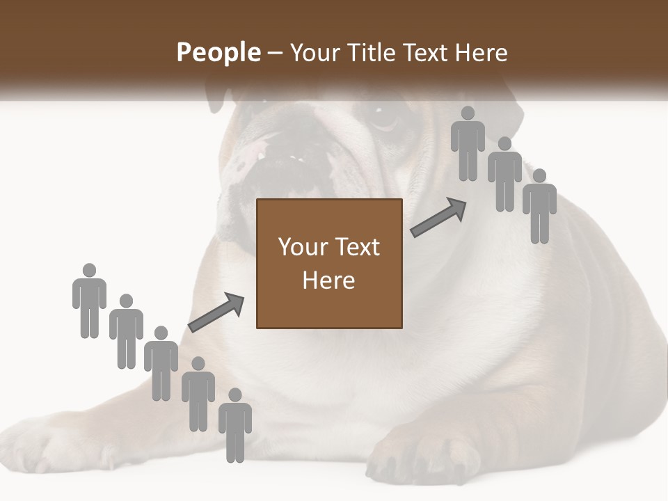 Electric Energy Home PowerPoint Template