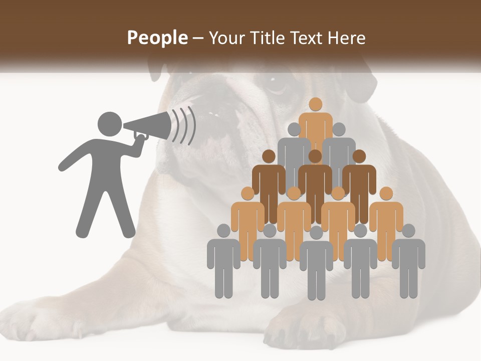 Electric Energy Home PowerPoint Template