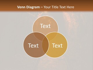 Cooling Air Heat PowerPoint Template