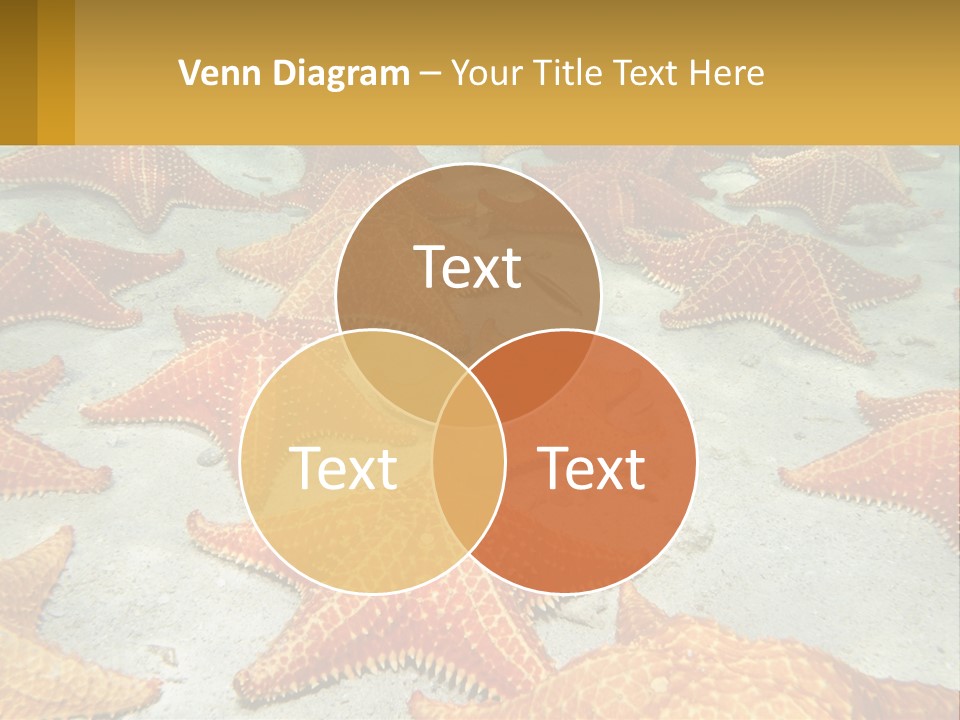 Technology White Supply PowerPoint Template