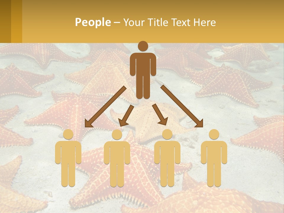 Technology White Supply PowerPoint Template