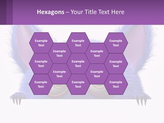 Cool Ventilation Switch PowerPoint Template