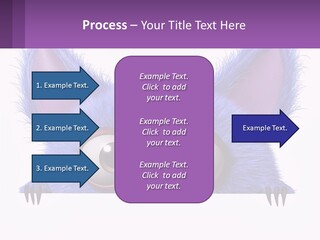 Cool Ventilation Switch PowerPoint Template