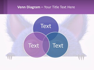 Cool Ventilation Switch PowerPoint Template