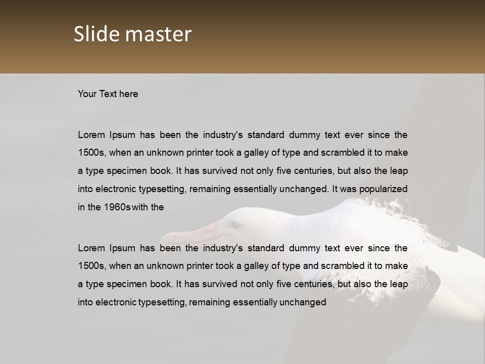 Technology House Switch PowerPoint Template