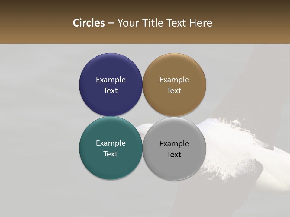 Technology House Switch PowerPoint Template