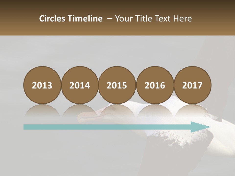 Technology House Switch PowerPoint Template