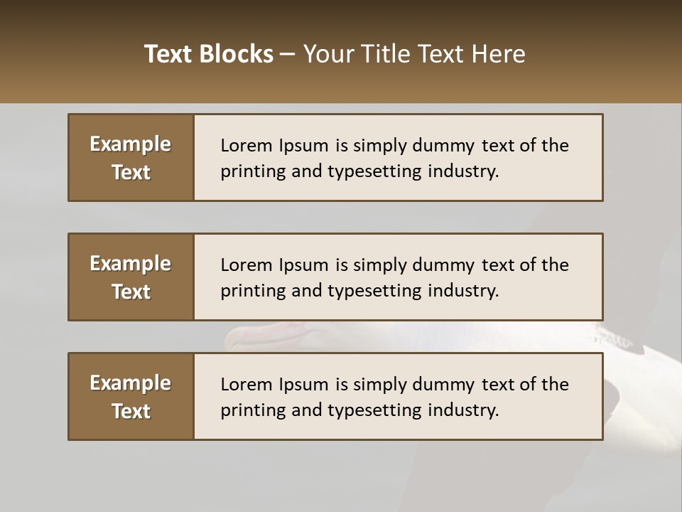 Technology House Switch PowerPoint Template