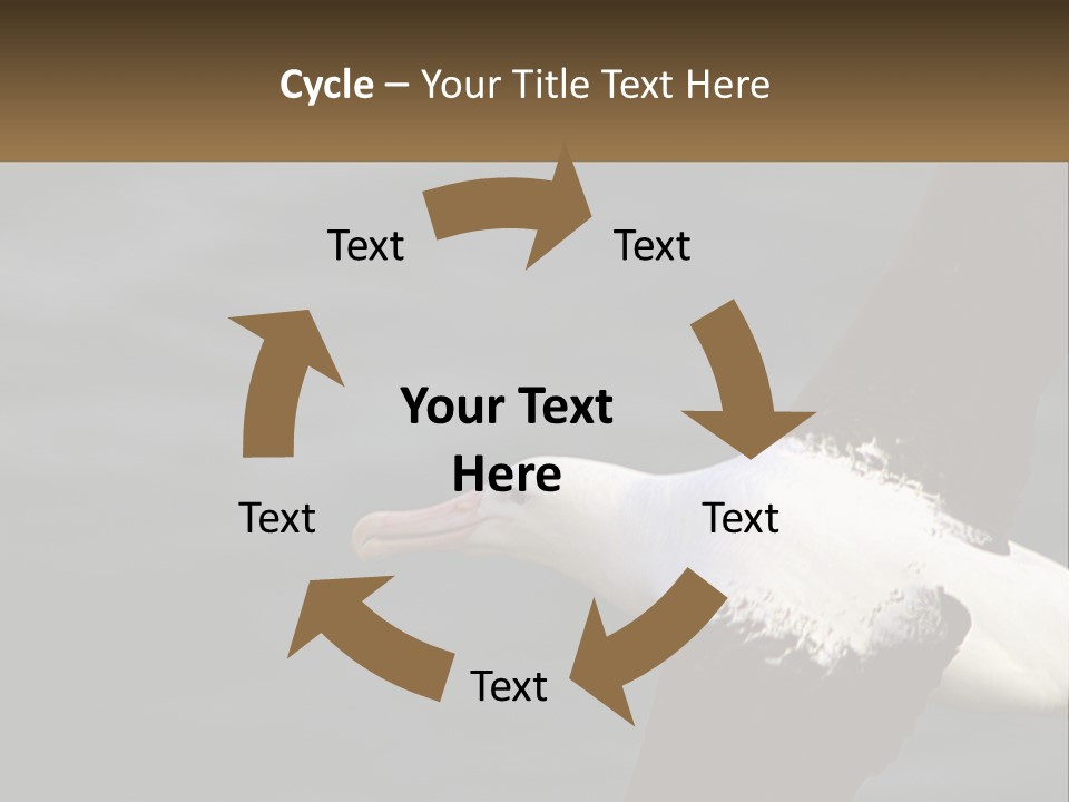 Technology House Switch PowerPoint Template