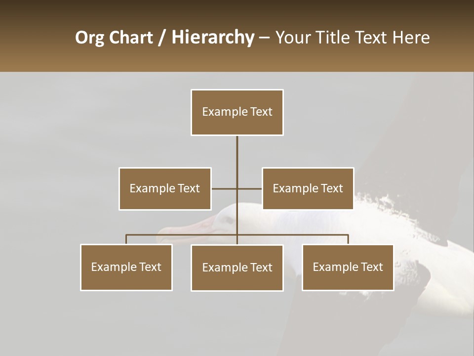 Technology House Switch PowerPoint Template
