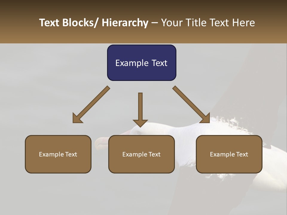 Technology House Switch PowerPoint Template