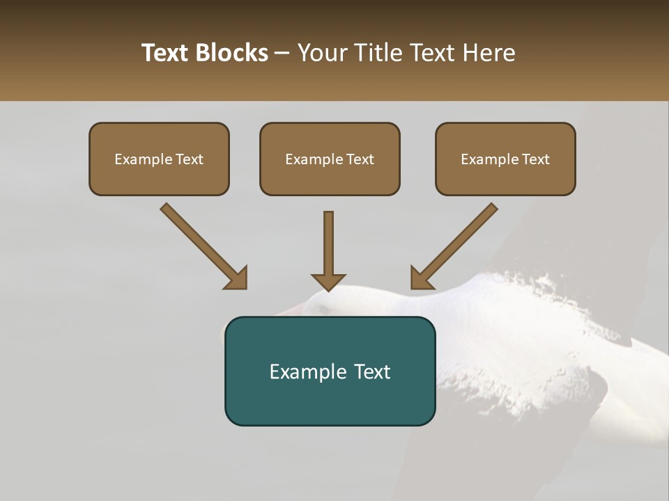Technology House Switch PowerPoint Template