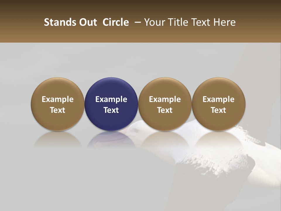 Technology House Switch PowerPoint Template