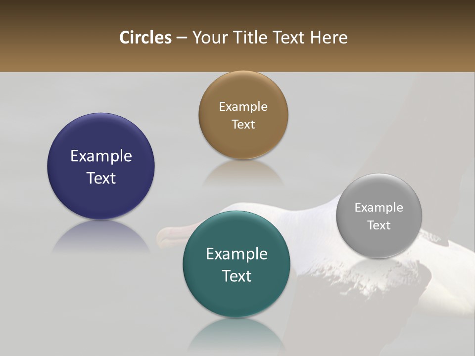 Technology House Switch PowerPoint Template