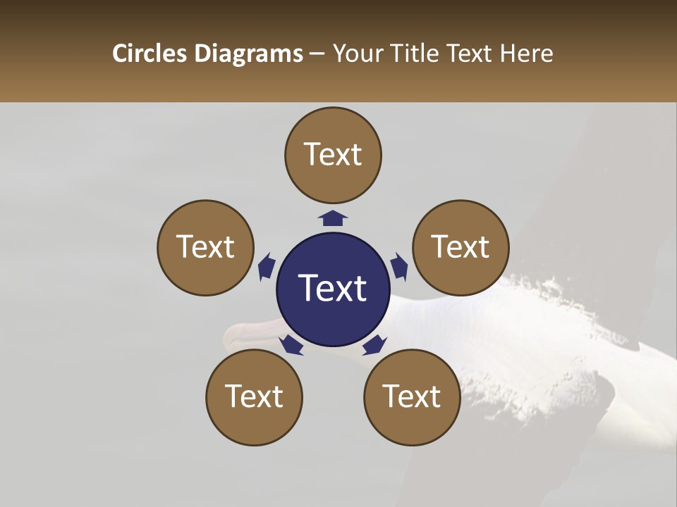 Technology House Switch PowerPoint Template