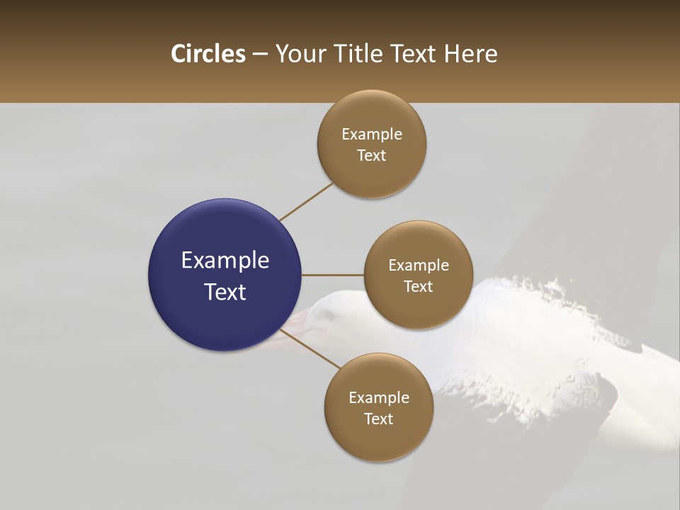 Technology House Switch PowerPoint Template