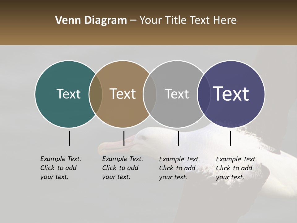 Technology House Switch PowerPoint Template