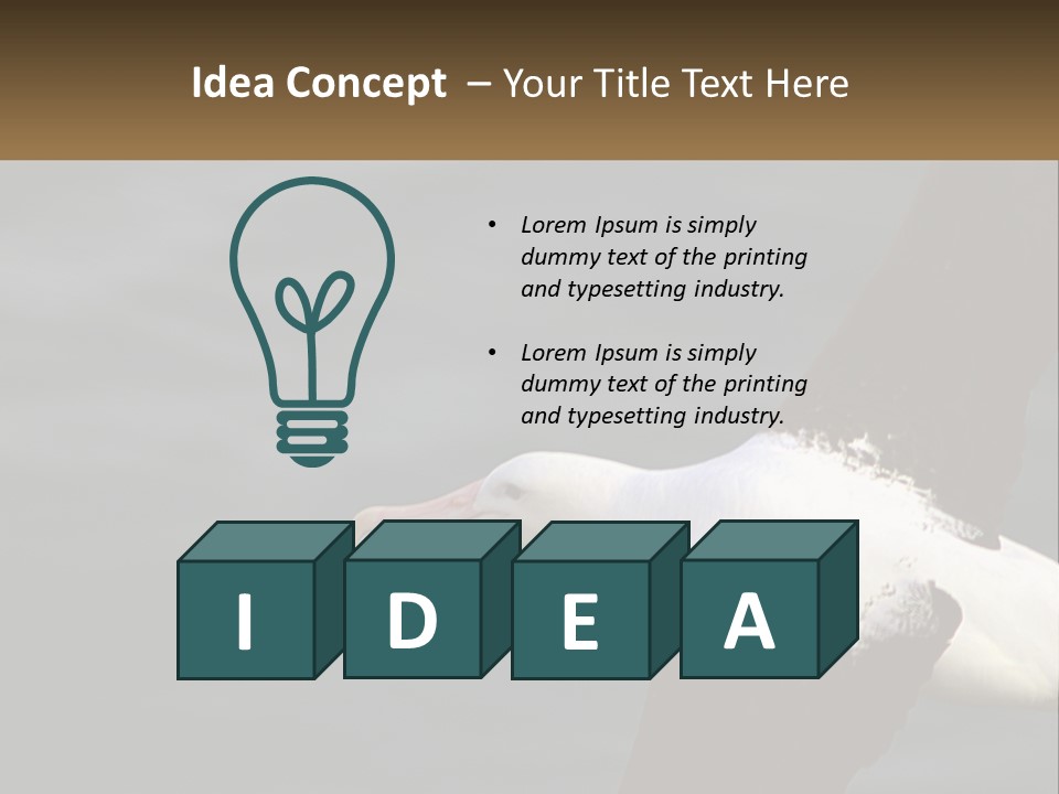 Technology House Switch PowerPoint Template