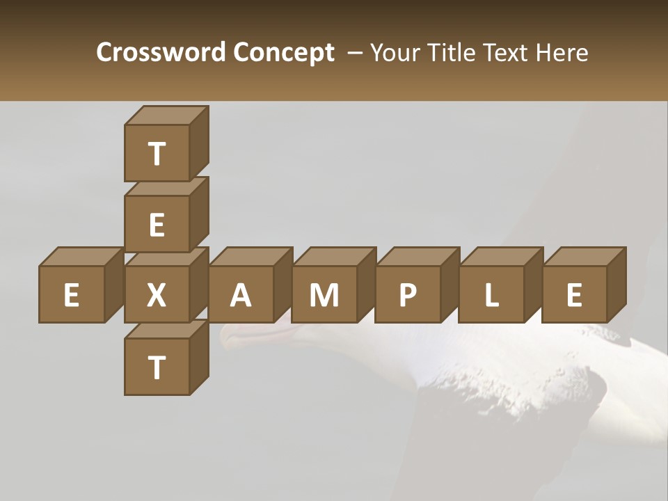Technology House Switch PowerPoint Template