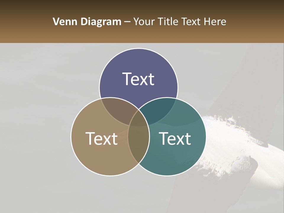 Technology House Switch PowerPoint Template