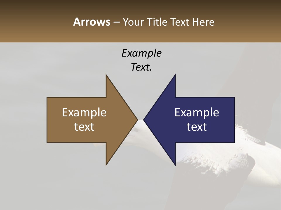 Technology House Switch PowerPoint Template