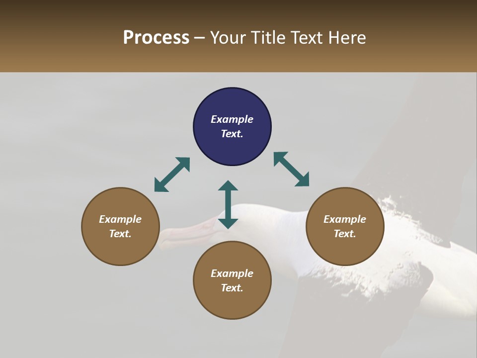Technology House Switch PowerPoint Template